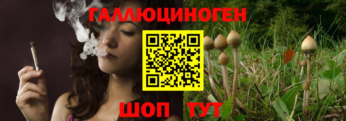 Псилоцибиновые грибы прущие грибы Великий Новгород